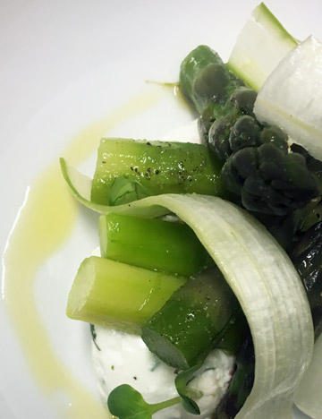 Soft creamy goat cheese with herbs and asparagus 